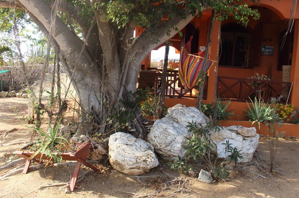 Santa Cruz Fuego Mio Bed & Breakfast מראה חיצוני תמונה