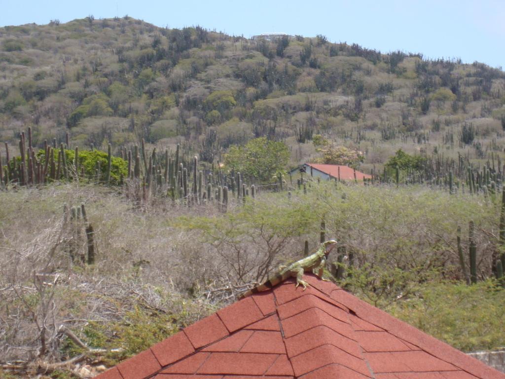 Santa Cruz Fuego Mio Bed & Breakfast מראה חיצוני תמונה