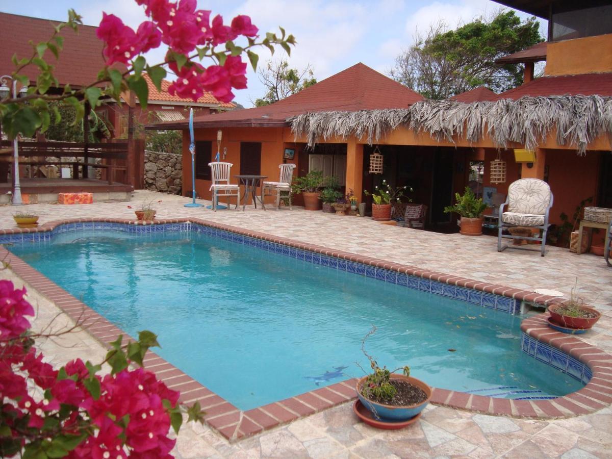 Santa Cruz Fuego Mio Bed & Breakfast מראה חיצוני תמונה
